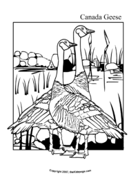 45 Goose Coloring Page 43