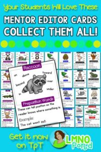Get Mentor Editor Cards for Teaching Grammar