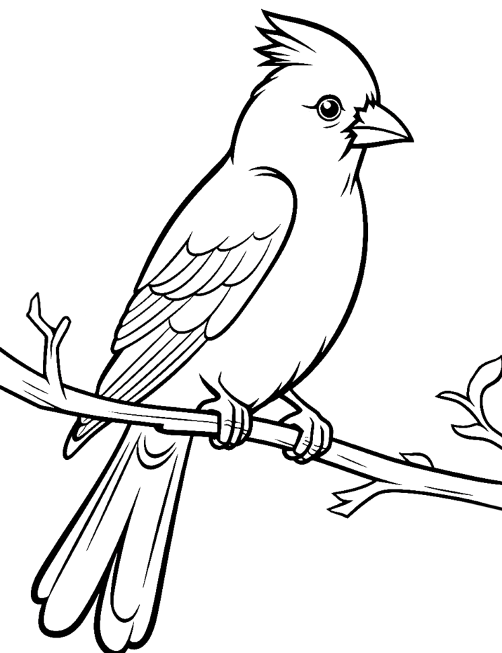 50 Bird Coloring Pages: Free Printable Sheets - HappyAllKids.com