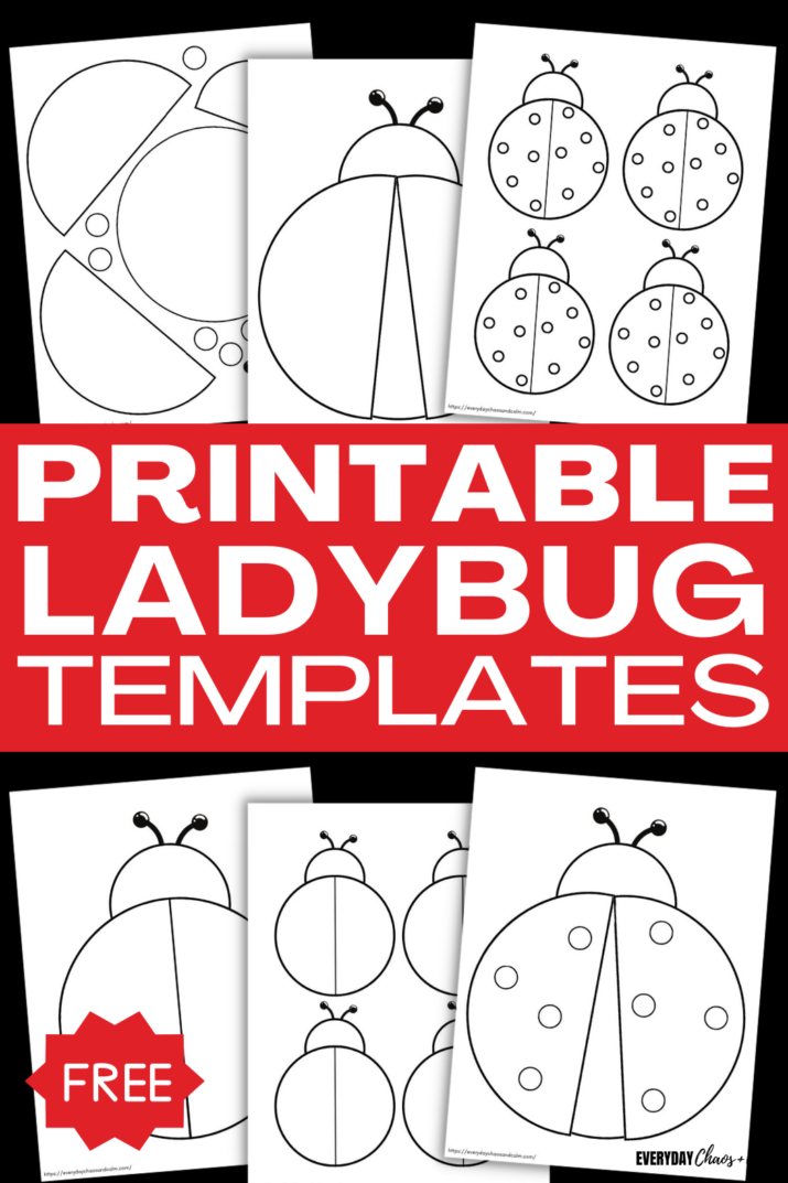 14 Free Printable Ladybug Templates for Crafts