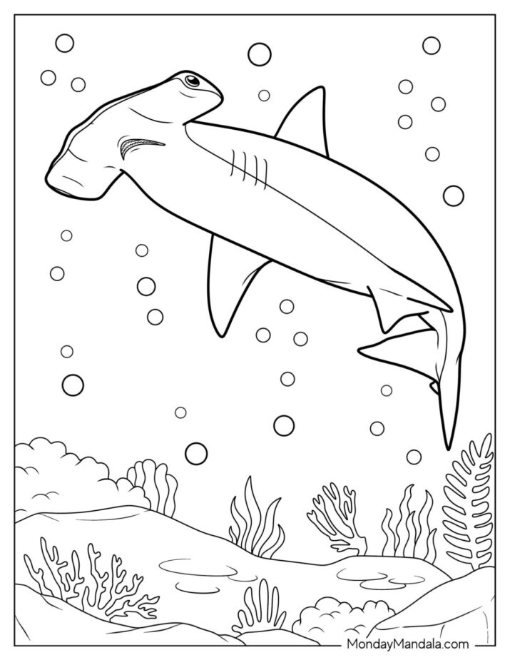 20 Hammerhead Shark Coloring Pages (Free PDF Printables)