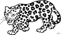 Dibujo De Un Leopardo