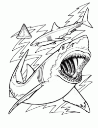 Free Printable Shark Coloring Pages For Kids