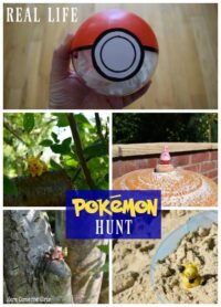 Real Life Pokemon Hunt