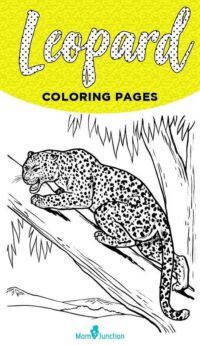 Top 25 Free Printable Leopard Coloring Pages Online