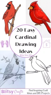 20 Easy Cardinal Drawing Ideas – Draw a Cardinal