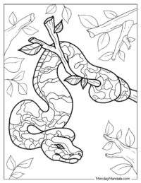 40 Snake Coloring Pages (Free PDF Printables)