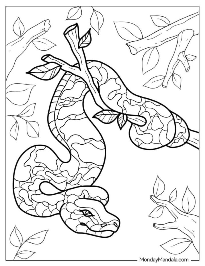 40 Snake Coloring Pages (Free PDF Printables)