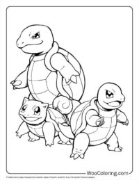 Evolution Stages of Squirtle