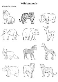 Group Of Animals Coloring Page Easy To Print 4D1