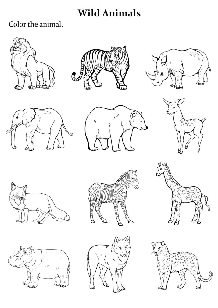 Group Of Animals Coloring Page Easy To Print 4D1