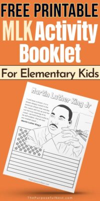 Martin Luther King Jr Lesson Plan with Printable Coloring Page and Worksheets