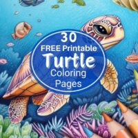 30 Free Printable Turtle Coloring Pages - Artsydee - Drawing, Painting, Craft & Creativity