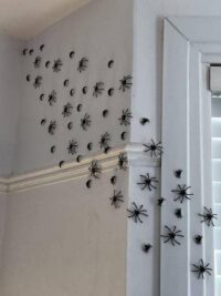 70 Pcs Halloween Spider Decorations Indoor, 4 Sizes 3D Plastic Spider Stickers Halloween Party Supplies Decorations for Home Wall Stickers Decor - Indoor Outdoor Room Window Halloween Decor