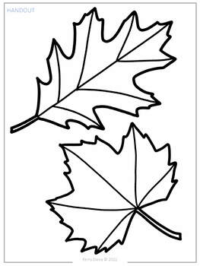 Line Leaves - Elements of Art Lesson Plan