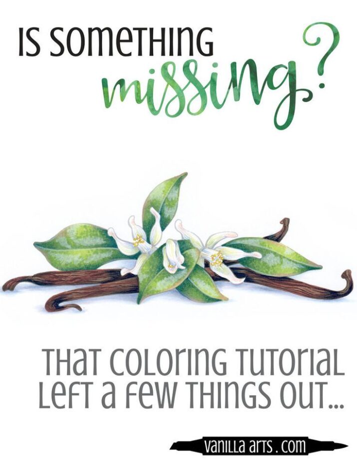 The Secret to Amazing Coloring — Vanilla Arts Co.