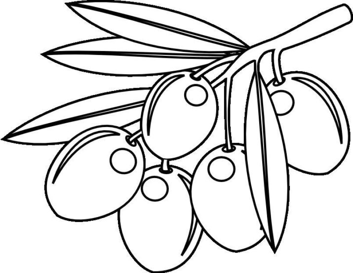 olive coloring pages for kids